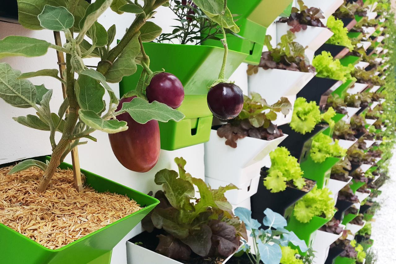 Biohotel Organic Suites ボゴタ エクステリア 写真